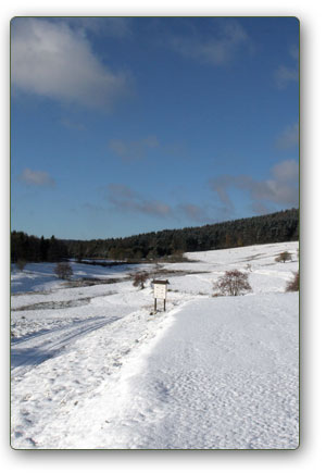 Weg bei Schmiedefeld